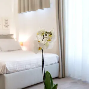 tintori-studio.it-tuscanyhotel.com/